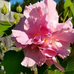 Meet your Posher, Melinda